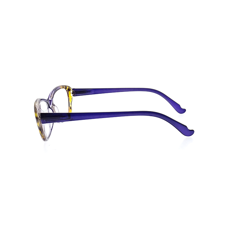 Fashion Reading Glasses PC Eyeglasses Frames LR-P6577 