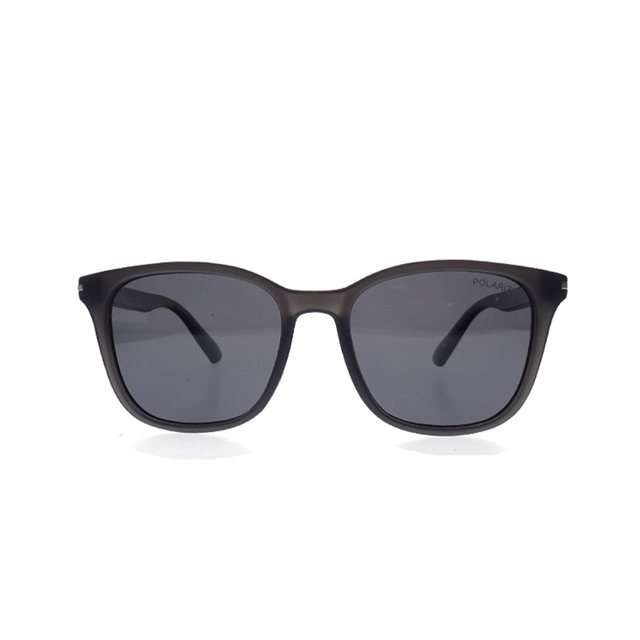 Big Square Sunglasses Top Selling On Internet Fashion High End PC Sunglasses LS-P656